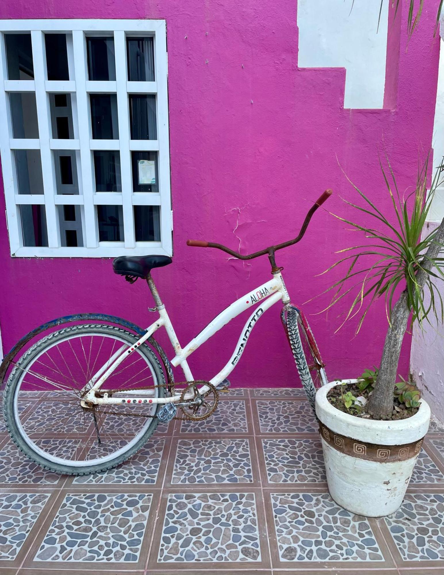 Pachamama Holbox - Hostel & Private Apartments Екстер'єр фото